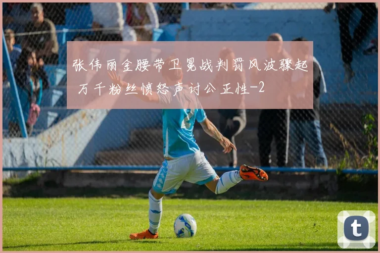 张伟丽金腰带卫冕战判罚风波骤起 万千粉丝愤怒声讨公正性