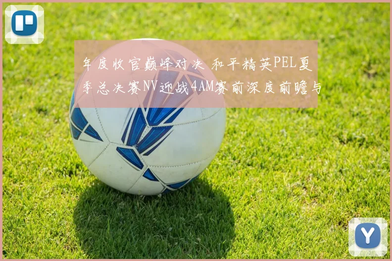 年度收官巅峰对决 和平精英PEL夏季总决赛NV迎战4AM赛前深度前瞻与预测