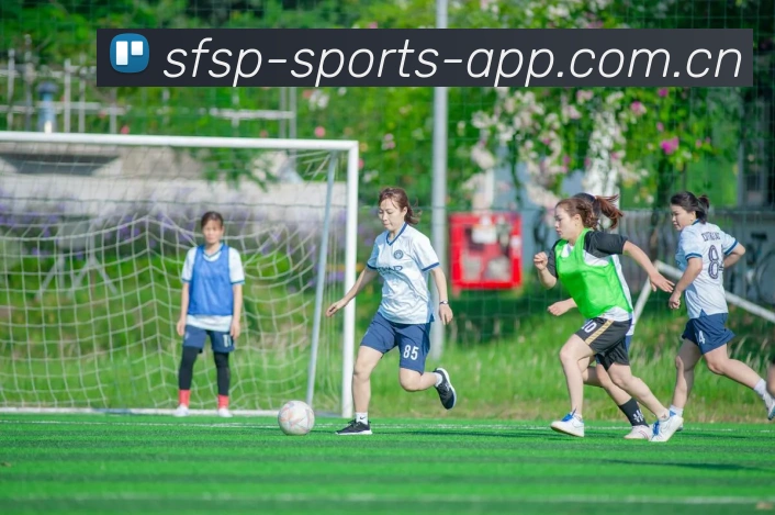 企业概况